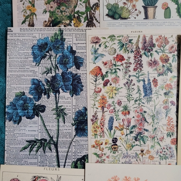 DIY Wall Collage Kit with double sided Wall adhesives DIY Dorm Room Wall Decor - Picture 3 of 7